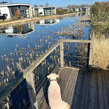 Holiday home Marina Strandbad Refugium Mit Zaun Haus Nr 95